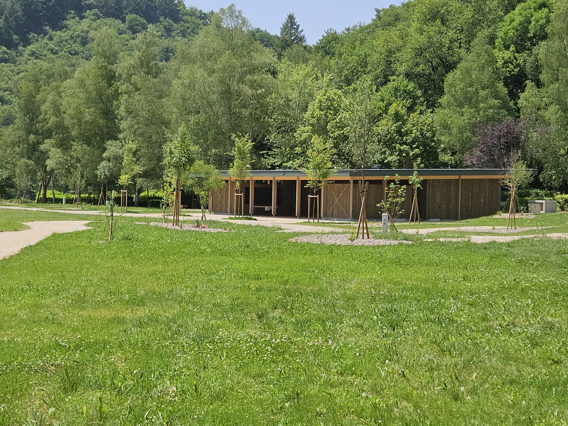 thumbnail_20250612_132756